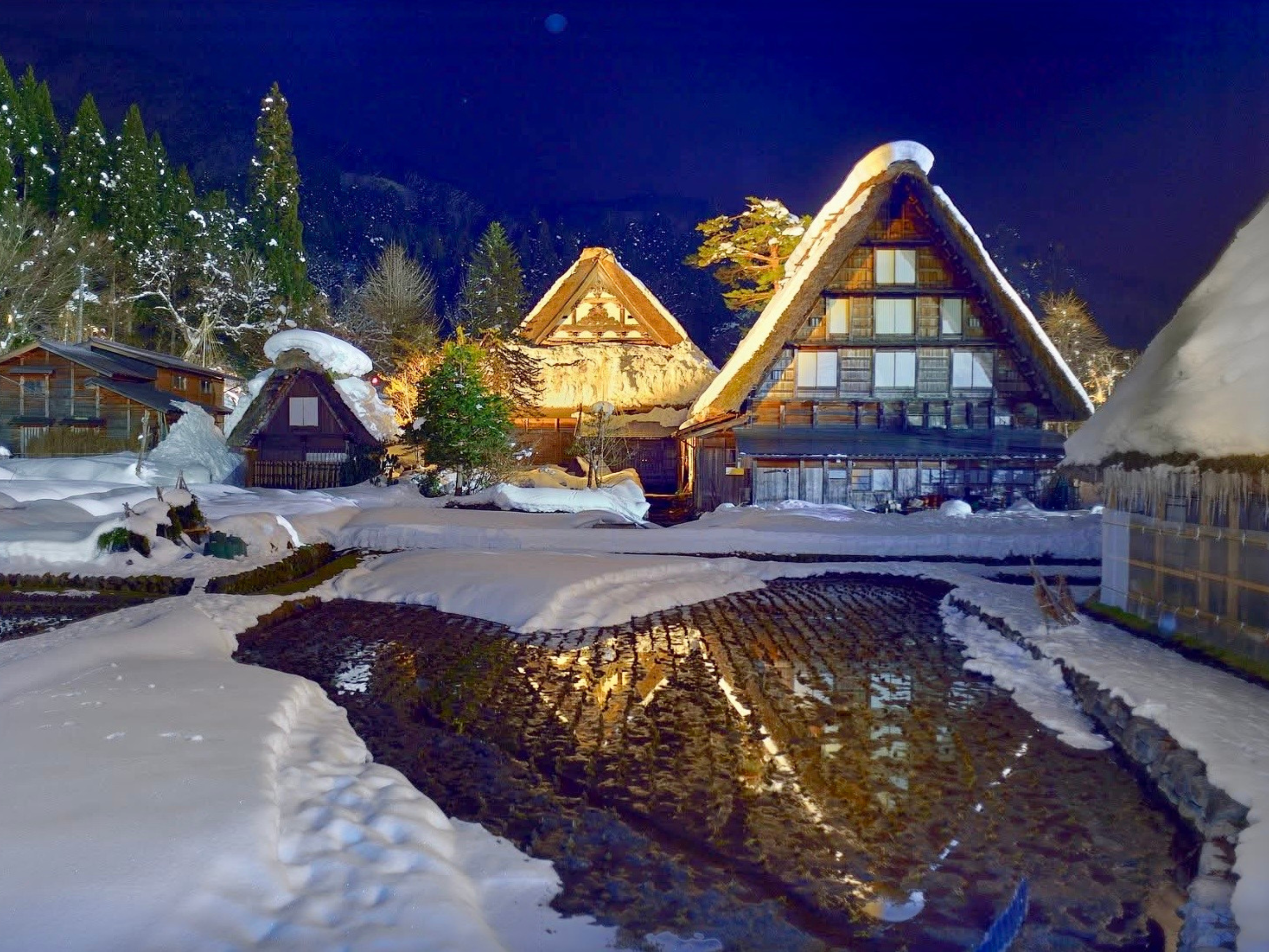 長野冬季限定與雪猴零距離的感動邂逅